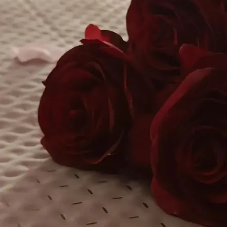 Bed & Breakfast Stefania 3*